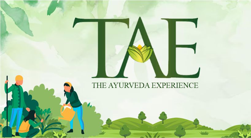 The Ayurveda Experience Treewards