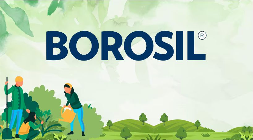 Borosil Treewards