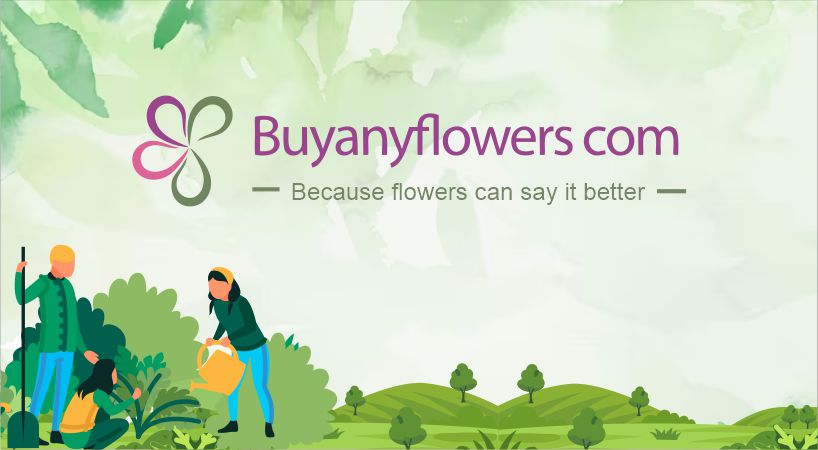 Buyanyflowers Treewards