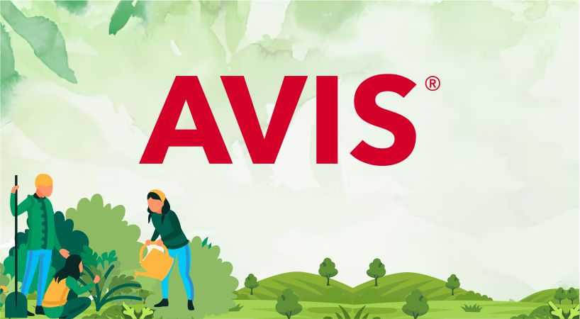Avis Treewards