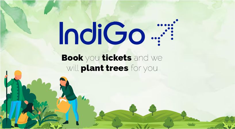 GoindiGo Treewards